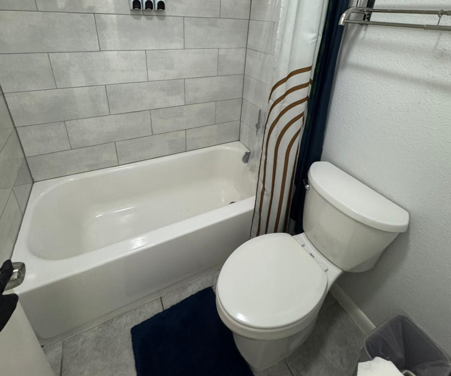 Bathroom Sanitization